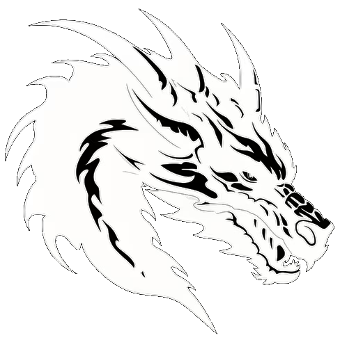 Dragontech Developments